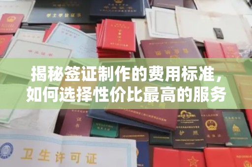 仲巴揭秘签证制作的费用标准，如何选择性价比最高的服务？
